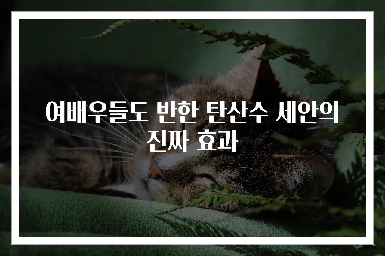 여배우들도 반한 탄산수 세안의 진짜 효과