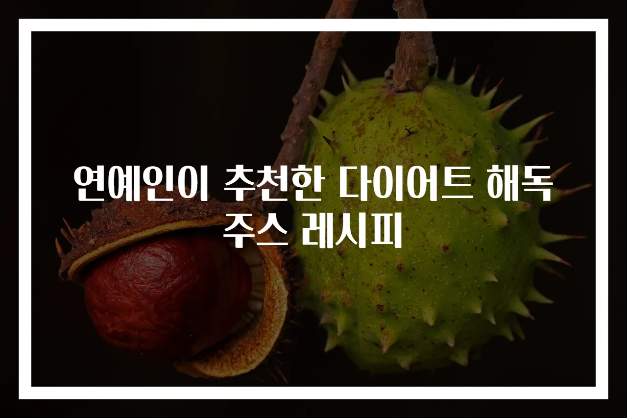 연예인이 추천한 다이어트 해독주스 레시피