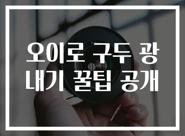 오이로 구두 광내기 꿀팁 공개