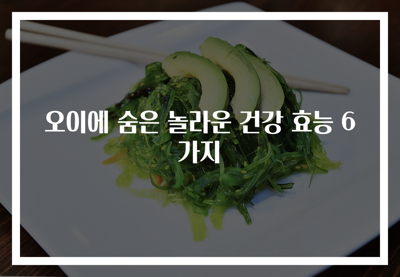 오이에 숨은 놀라운 건강 효능 6가지