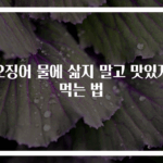 오징어 물에 삶지 말고 맛있게 먹는 법
