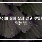오징어 물에 삶지 말고 맛있게 먹는 법