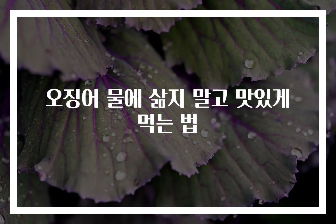 오징어 물에 삶지 말고 맛있게 먹는 법