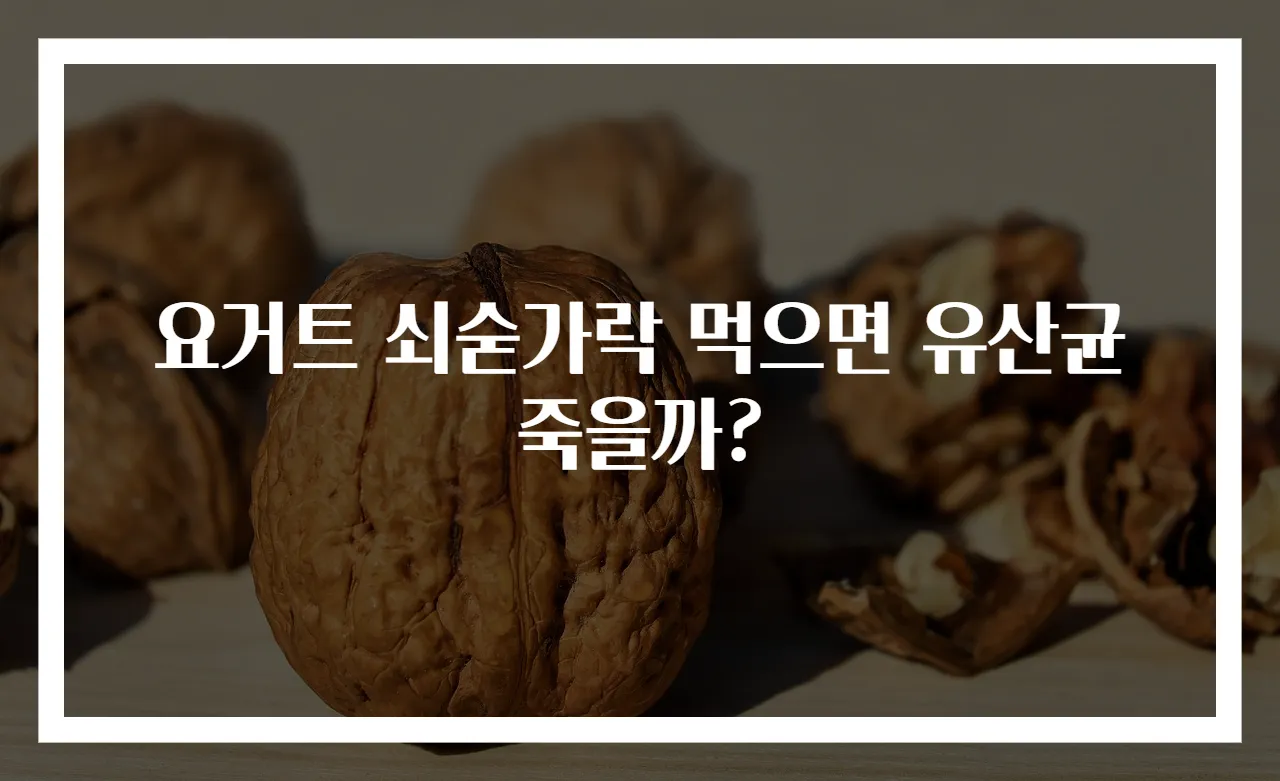 요거트 쇠숟가락 먹으면 유산균 죽을까?