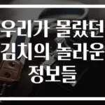우리가 몰랐던 김치의 놀라운 정보들