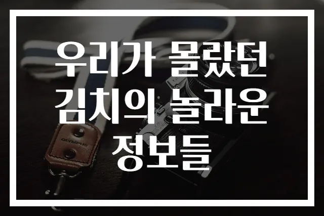 우리가 몰랐던 김치의 놀라운 정보들