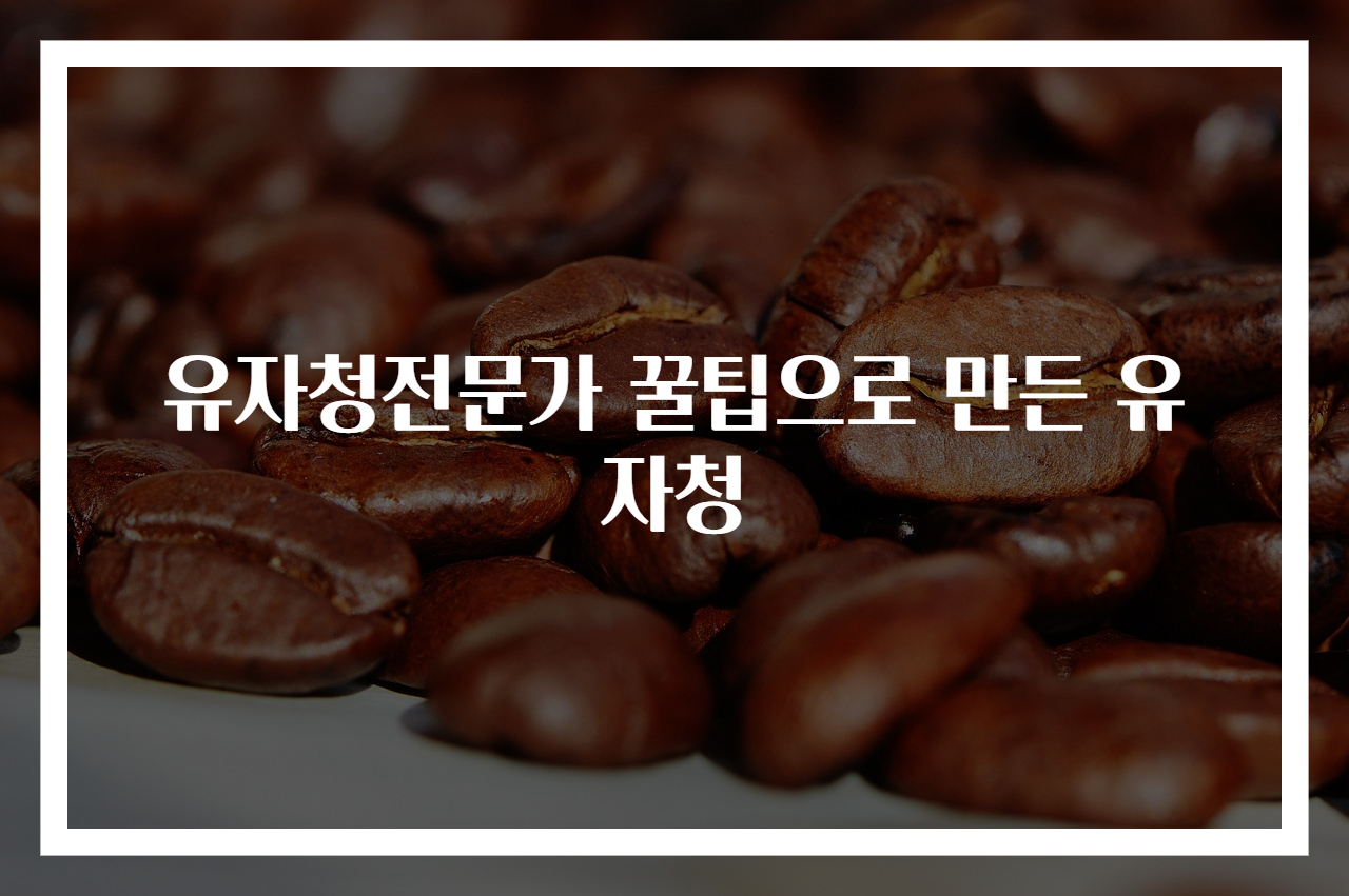 유자청전문가 꿀팁으로 만든 유자청