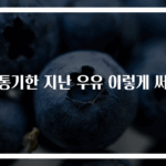 유통기한 지난 우유 이렇게 써요