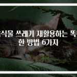음식물 쓰레기 재활용하는 똑똑한 방법 6가지