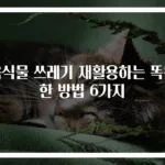 음식물 쓰레기 재활용하는 똑똑한 방법 6가지