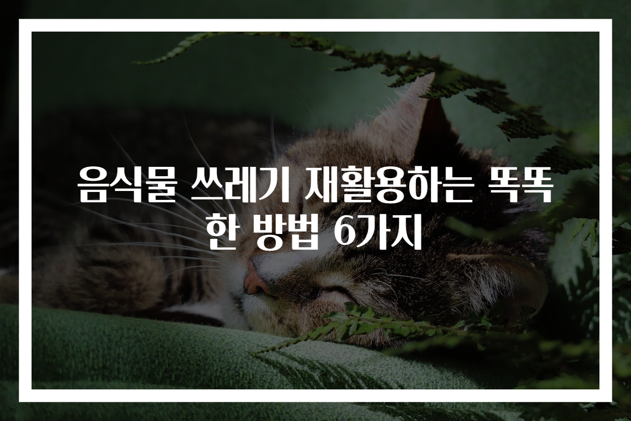 음식물 쓰레기 재활용하는 똑똑한 방법 6가지