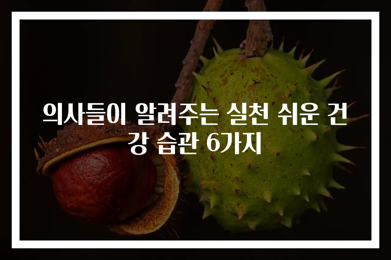 의사들이 알려주는 실천 쉬운 건강 습관 6가지