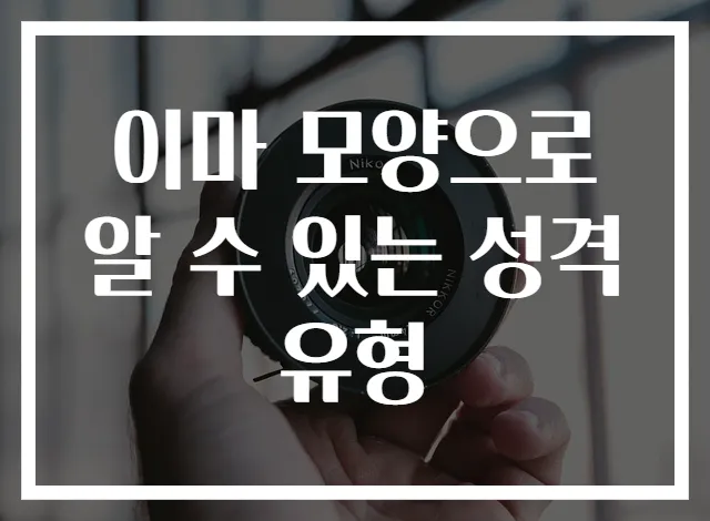 이마 모양으로 알 수 있는 성격 유형