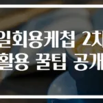 일회용케첩 2차 활용 꿀팁 공개