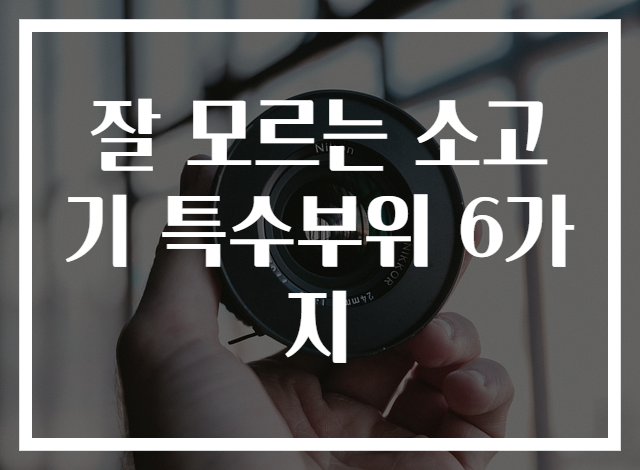 잘 모르는 소고기 특수부위 6가지