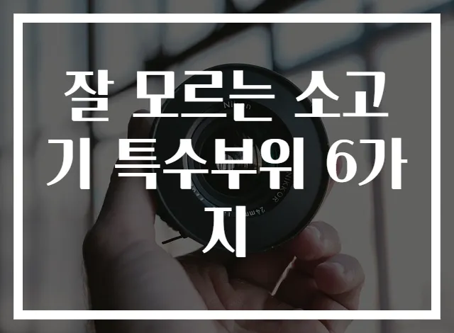 잘 모르는 소고기 특수부위 6가지