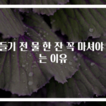 잠들기 전 물 한 잔 꼭 마셔야 하는 이유