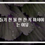 잠들기 전 물 한 잔 꼭 마셔야 하는 이유