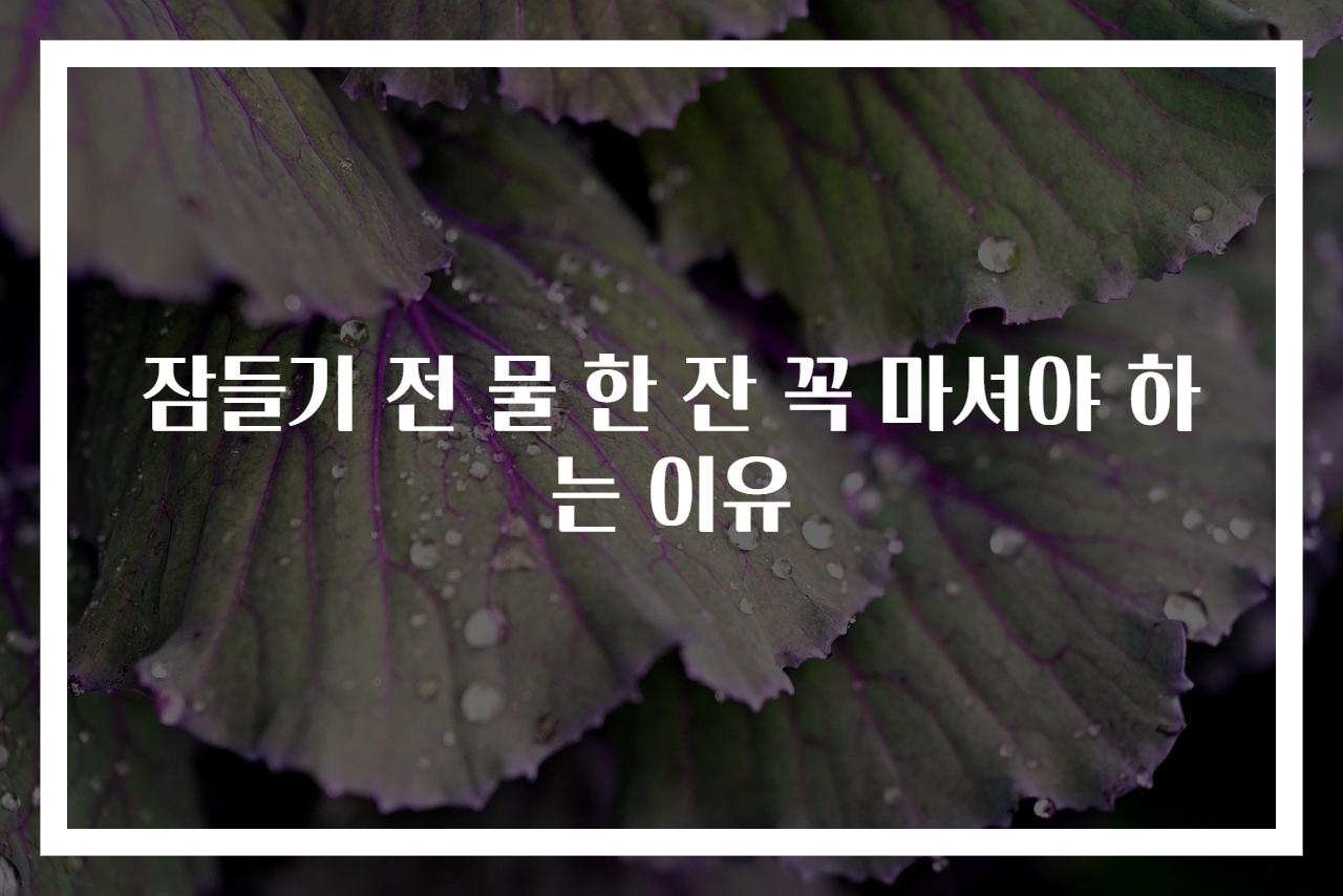 잠들기 전 물 한 잔 꼭 마셔야 하는 이유