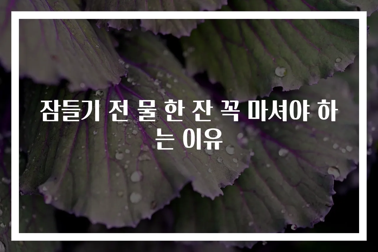 잠들기 전 물 한 잔 꼭 마셔야 하는 이유