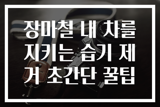 장마철 내 차를 지키는 습기 제거 초간단 꿀팁
