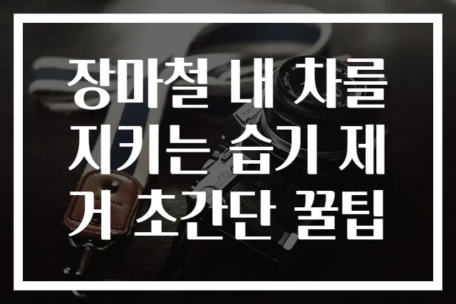 장마철 내 차를 지키는 습기 제거 초간단 꿀팁
