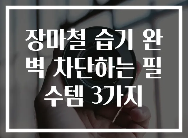장마철 습기 완벽 차단하는 필수템 3가지