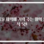 저질 체력에 기력 주는 활력 음식 5선