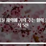 저질 체력에 기력 주는 활력 음식 5선