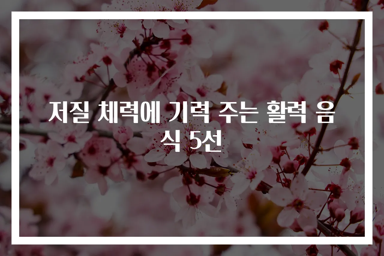 저질 체력에 기력 주는 활력 음식 5선