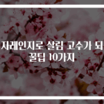 전자레인지로 살림 고수가 되는 꿀팁 10가지