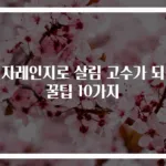 전자레인지로 살림 고수가 되는 꿀팁 10가지