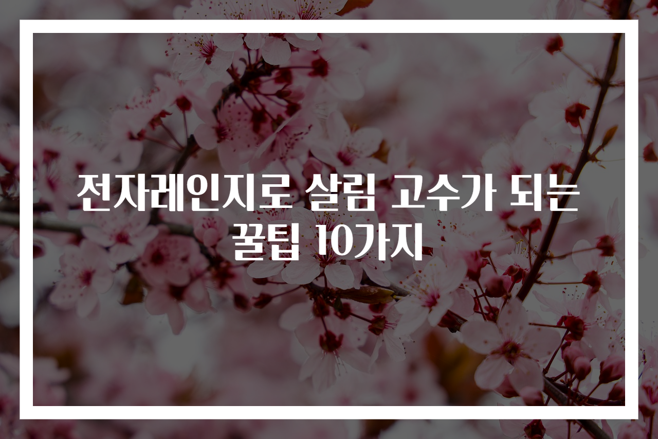 전자레인지로 살림 고수가 되는 꿀팁 10가지