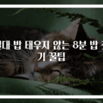 절대 밥 태우지 않는 8분 밥 짓기 꿀팁