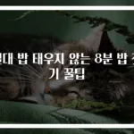 절대 밥 태우지 않는 8분 밥 짓기 꿀팁