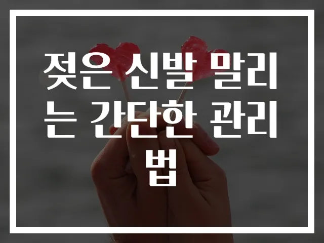 젖은 신발 말리는 간단한 관리법