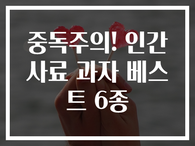 중독주의! 인간 사료 과자 베스트 6종