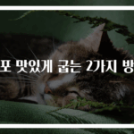 쥐포 맛있게 굽는 2가지 방법