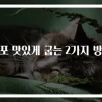 쥐포 맛있게 굽는 2가지 방법
