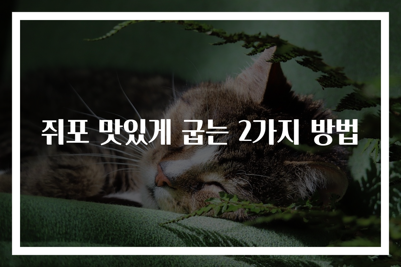 쥐포 맛있게 굽는 2가지 방법