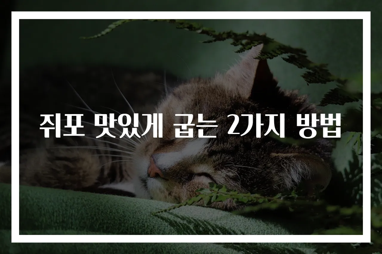 쥐포 맛있게 굽는 2가지 방법
