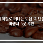 지하철로 떠나는 도심 속 단풍 여행지 5곳 추천
