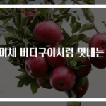 진미채 버터구이처럼 맛내는 법