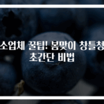 청소업체 꿀팁! 봄맞이 창틀청소 초간단 비법