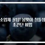 청소업체 꿀팁! 봄맞이 창틀청소 초간단 비법