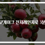 초코케이크 전자레인지로 3분컷