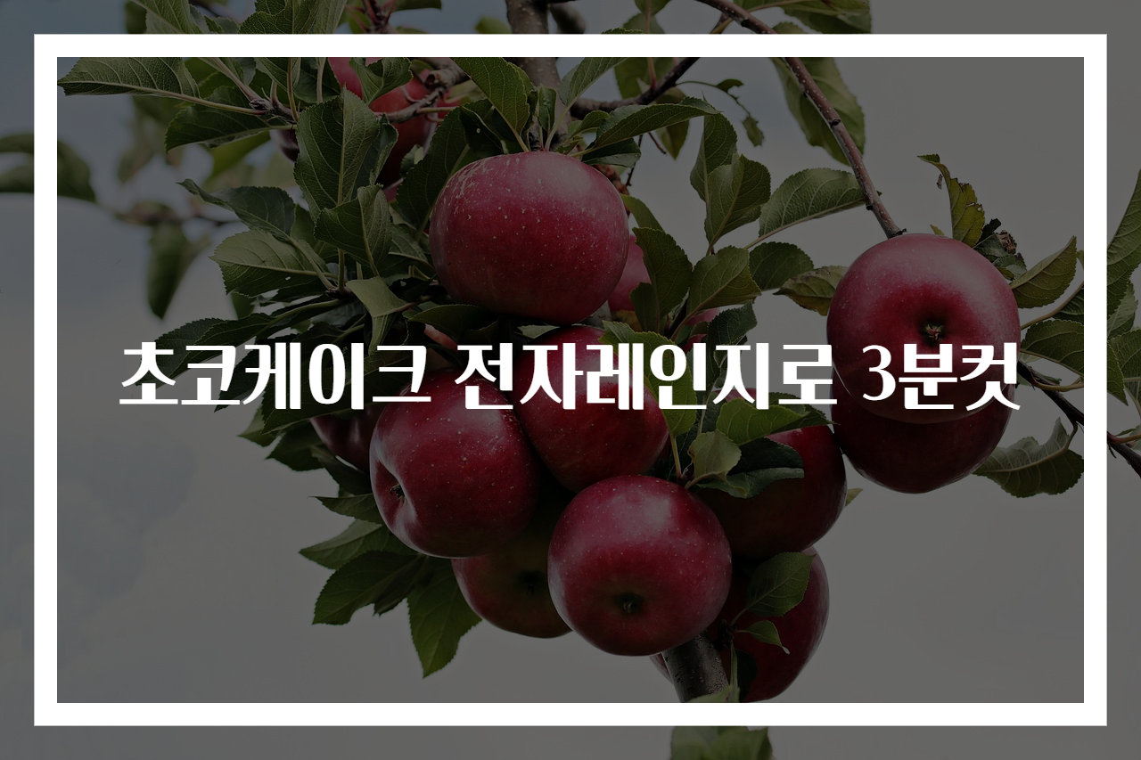 초코케이크 전자레인지로 3분컷