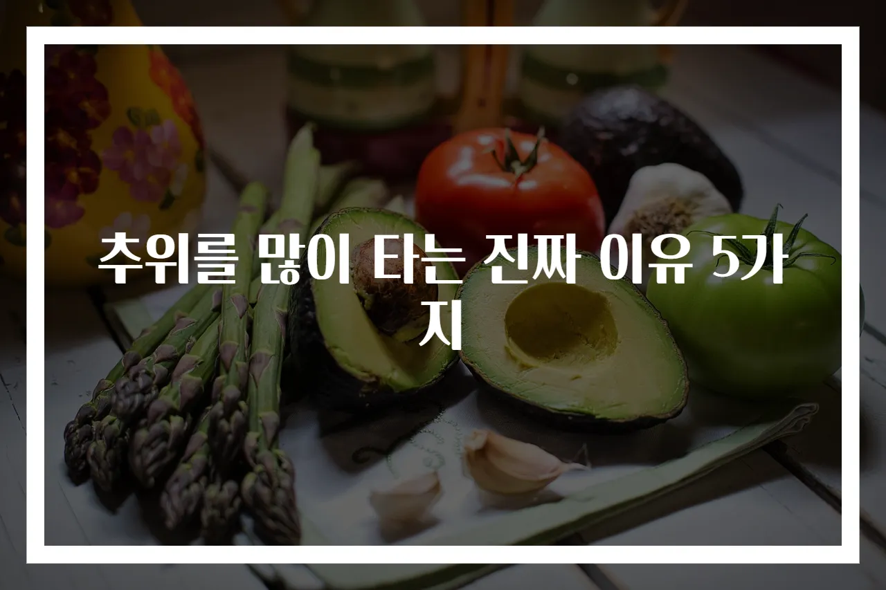 추위를 많이 타는 진짜 이유 5가지