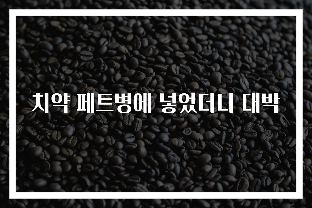치약 페트병에 넣었더니 대박