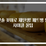 칫솔 꽂이로 재탄생! 페트병 업사이클 꿀팁